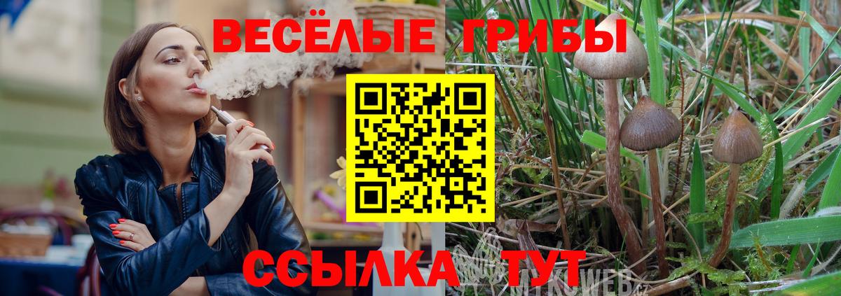Галлюциногенные грибы ЛСД  Вход с VPN  Канаш 